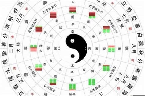 十不算算命|生辰八字算命、五行喜用神查询（免费测算）